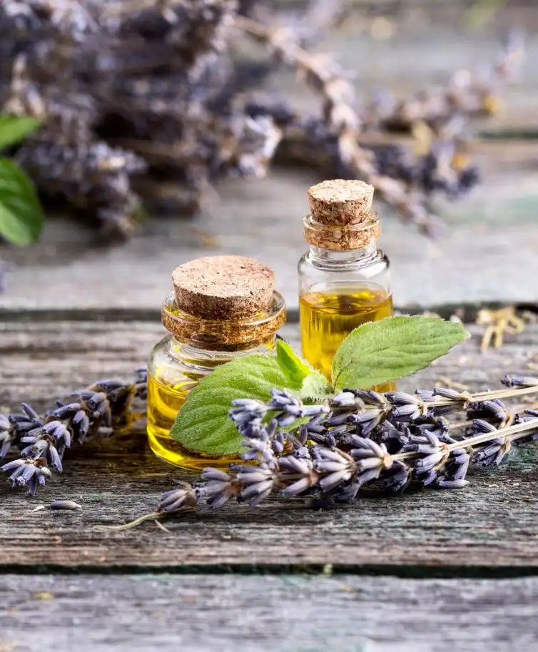 extracted lavender oil